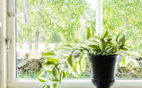 Skärvudde Huset: Pflanze, Eigentum, Fenster, Blumentopf, Licht, Grün, Zimmerpflanze, Holz, Interior Design