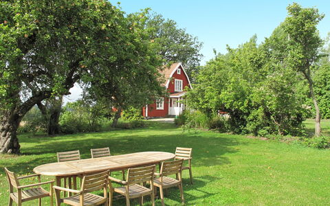 Ilandet: Pflanze, Tabelle, Himmel, Außenbank, Blatt, Natur, Natürliche Landschaft, Baum, Picknicktisch, Vegetation
