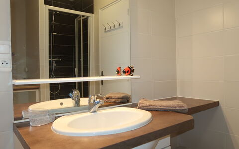 Plouhinec Morbihan 648: Spiegel, Zapfhahn, Armatur, Sinken, Bad Sink, Eigentum, Holz, Badezimmer, Interior Design, Fussboden