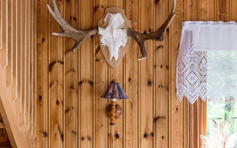 Kasen Sjökanten: Fenster, Holz, Tür, Pflanze, Gebäude, Baum, Holzbeize, Wand, Hartholz, Haus