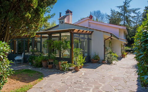 La Casa Vivente: Eigentum, Haus, Zuhause, Grundeigentum, Gebäude, Estate, Botanik, Hütte, Baum, Die Architektur