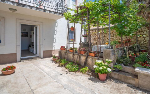 Crikvenica Jadranovo 166: Pflanze, Gebäude, Eigentum, Blumentopf, Blume, Strassenbelag, Himmel, Die Architektur, Zimmerpflanze, Tür