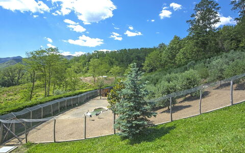 Agr. Castello della Mugazzena: Wolke, Himmel, Pflanze, Baum, Natürliche Landschaft, Schatten, Hochland, Grundstueck, Wiese, Kumulus