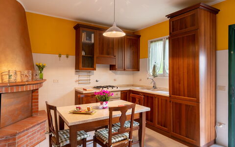 Ludovica: Countertop, Möbel, Cabinetry, Eigentum, Tabelle, Fenster, Holz, Küche, Stuhl, Interior Design