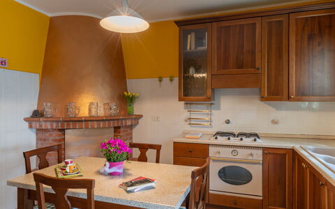 Ludovica: Cabinetry, Möbel, Eigentum, Tabelle, Countertop, Pflanze, Blume, Herd, Zimmerpflanze, Interior Design