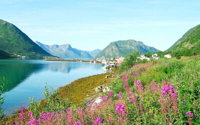 Senja