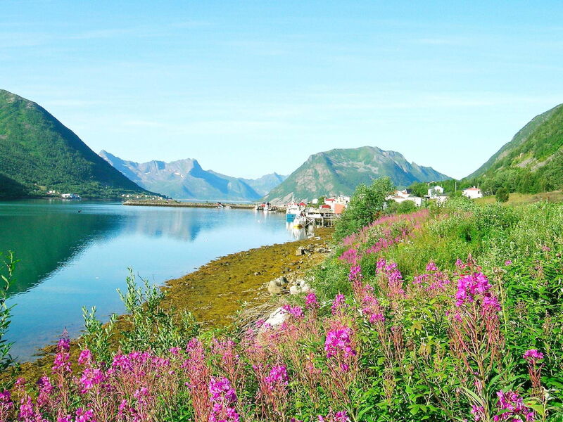 Senja