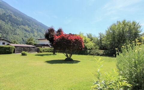 Sonnblick: Natürliche Landschaft, Natur, Vegetation, Baum, Garten, Gras, Himmel, Botanischer Garten, Wildnis, Wiese