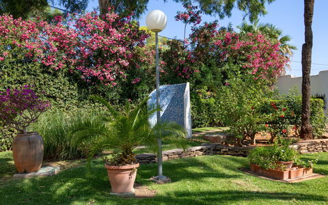 Albaranas: Blume, Pflanze, Himmel, Eigentum, Blumentopf, Botanik, Natur, Baum, Strassenlicht, Gras