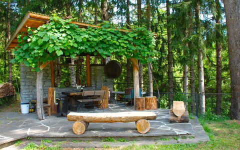 Castro 150: Baum, Naturschutzgebiet, Botanik, Tabelle, Haus, Wald, Pflanze, Wald, Pavillon, Zimmer