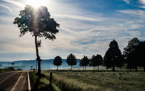 Schönecken 100: Himmel, Eigentum, Pflanze, Baum, Gebäude, Grundstueck, Steigung, Schatten, Asphalt, Holz
