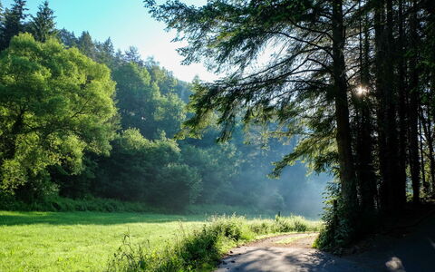 Schönecken 100: Himmel, Eigentum, Pflanze, Baum, Gebäude, Grundstueck, Steigung, Schatten, Asphalt, Holz