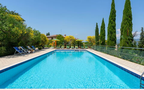 La Rosa: Schwimmbad, Eigentum, Grundeigentum, Freizeit, Wasser, Haus, Estate, Gebäude, Baum, Villa
