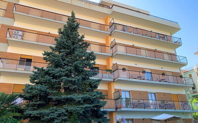 Sorrento 111: Baum, Eigentum, Die Architektur, Gebäude, Grundeigentum, Wohnung, Fassade, Mischnutzung, Gehölz