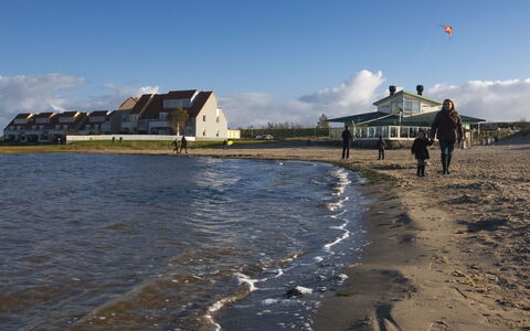 Den Osse: Strand, Küste, Meer, Ufer, Himmel, Ozean, Fluss, Sand, Wolke