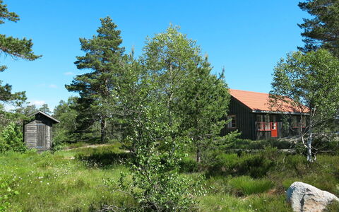Førevanns Hytta: Himmel, Pflanze, Eigentum, Blatt, Baum, Natürliche Landschaft, Lärche, Grundstueck, Vegetation, Haus