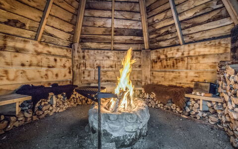Paula: Holz, Hütte, Blockhaus, Wald, Schuppen, Gartenbauten, Lärche, Wald, Holzbeize