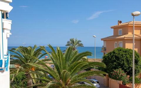 La Senia: Eigentum, Vegetation, Palme, Baum, Grundeigentum, Dattelpalme, Gebäude, Arecales, \Stadt, Himmel