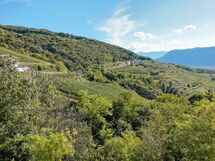 Lavanda e Rosmarino (Sot100)