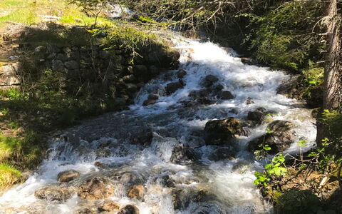 Sur Baselgia: Pflanze, Wasservorräte, Wasser, Ökoregion, Natürliche Landschaft, Ast, Frühling, Wasserlauf, Auwald