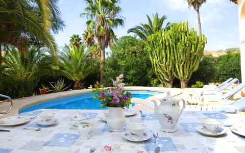 Lucien Marie: Eigentum, Urlaub, Mahlzeit, Tabelle, Tischdecke, Resort, Baum, Palme, Mittagessen, Grundeigentum
