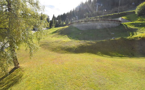 Madonna di Campiglio 300: Natur, Natürliche Landschaft, Natürlichen Umgebung, Vegetation, Baum, Wiese, Gras, Naturschutzgebiet, Biome, Wiese