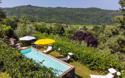 Ridaldi: Schwimmbad, Strauch, Resort, Garten, Eco Hotel, Landscaping, Hazienda, Hinterhof, Estate, Schatten