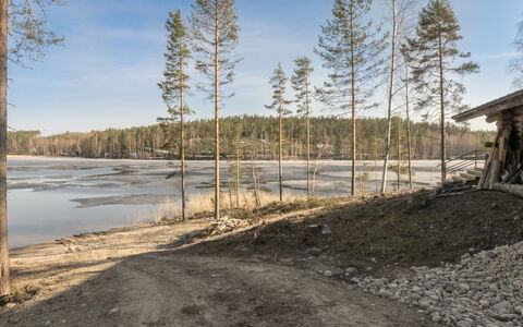 Villa Moose: Holz, Landschaft, Bank, Wald, Kofferraum, Ufer, Wald, Lärche