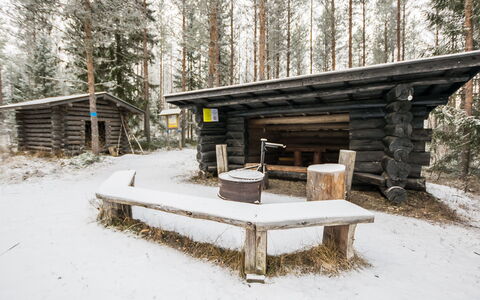 Oriaho: Möbel, Stuhl, Gartenmöbel, Tabelle, Holz, Tisch Im Freien, Küche & Esszimmer Tisch, Schatten, Garten, Regenschirm