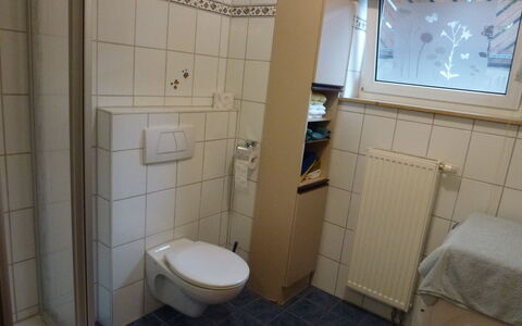 Donau: Badezimmer, Eigentum, Zimmer, Fliese, Toilette, Armatur, Fussboden, Die Architektur, Grundeigentum, Bad Zubehör