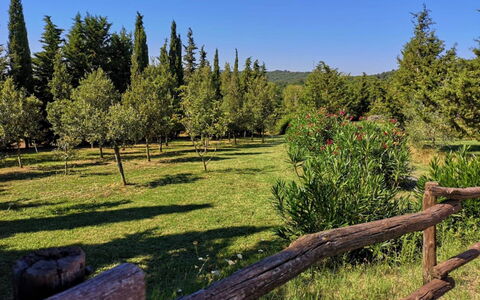 Villa Martina: Natürliche Landschaft, Natur, Baum, Natürlichen Umgebung, Wildnis, Naturschutzgebiet, Biome, Zaun, Wald