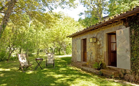 Casa Dell'ambasciatore: Gras, Holz, Hütte, Ländliches Gebiet, Garten, Tür, Frühling, Rasen, Hinterhof, Bauernhaus