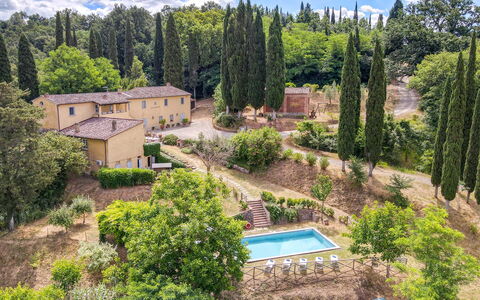 Villa Bacco: Baum, Strauch, Landschaft, Zuhause, Haus, Grundstueck, Estate, Ländliches Gebiet, Garten, Landscaping