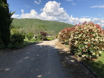 Agriturismo Cuiano