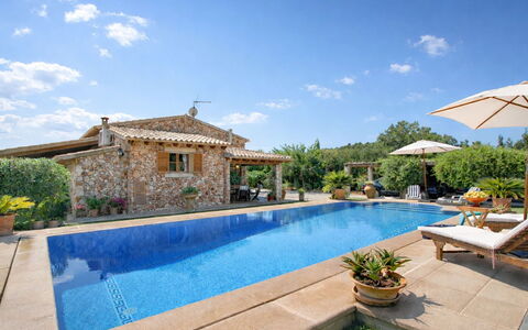 Mavi: Schwimmbad, Resort, Freizeit, Estate, Eco Hotel, Villa, Urlaub, Water Feature, Hazienda, Stuhl