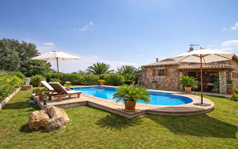 Mavi: Schwimmbad, Resort, Estate, Eco Hotel, Landscaping, Garten, Villa, Hazienda, Water Feature, Gartenmöbel