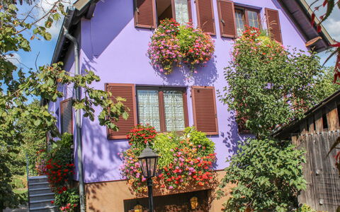 Marckolsheim 100: Blume, Pflanze, Gebäude, Daytime, Eigentum, Fenster, Blatt, Lila, Haus
