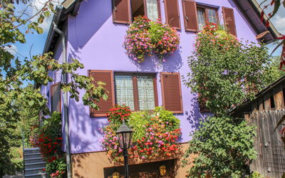 Marckolsheim 100: Blume, Pflanze, Gebäude, Daytime, Eigentum, Fenster, Blatt, Lila, Haus