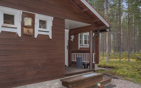 Albatrossi: Holz, Abstellgleis, Hütte, Haus, Zuhause, Planke, Gartenbauten, Blockhaus, Hartholz, Veranda