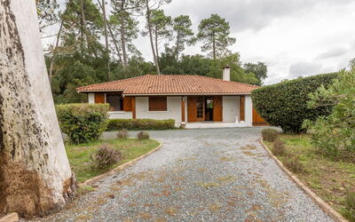 Marguerite - Capbreton, Aquitanien, Frankreich