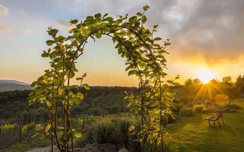 Sequerciani: Natur, Baum, Himmel, Natürliche Landschaft, Morgen, Biome, Pflanze, Sonnenlicht, Landschaft, Bogen