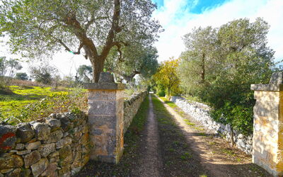 Il Trullo Di Pasquale
