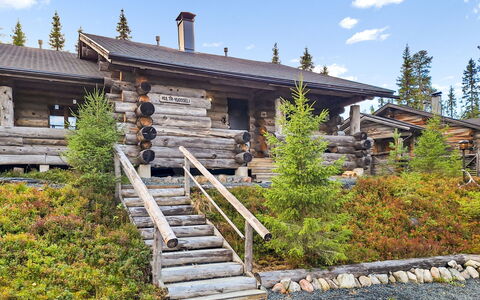 Kulta-Vuosseli a: Lärche, Hütte, Blockhaus, Steigung, Immergrün, Winter, Holz, Pine Familie