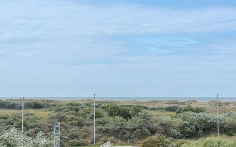 De Haan 930: Himmel, Vegetation, Shrubland, Natürliche Landschaft, Natürlichen Umgebung, Grundstueck, Pflanzengemeinschaft, Einfach, Ökoregion, Steppe