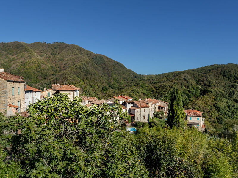 Ciliegi
