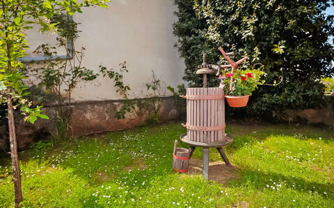 Stari Brist: Garten, Garten, Baum, Gras, Hinterhof, Pflanze, Frühling, Rasen, Strauch, Blume