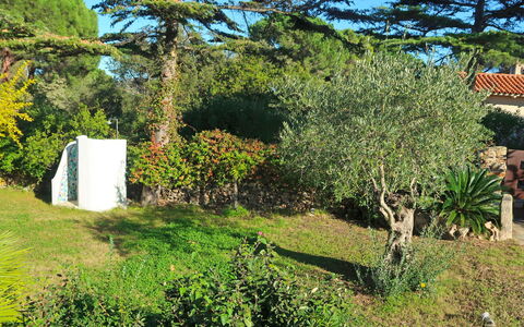 Omer: Baum, Vegetation, Eigentum, Haus, Botanik, Pflanze, Gras, Garten, Gehölz, Strauch