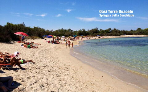 Villa Orchidea: Strand, Himmel, Urlaub, Tourismus, Ozean, Meer, Sommer, Ufer