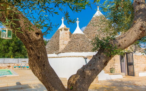 Trullo Del Mandarino: Baum, Die Architektur, Wand, Gehölz, Gebäude, Pflanze, Ast, Tourismus, Haus, Stadt
