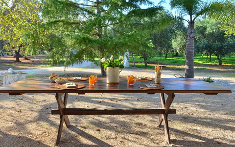 L'alcova: Möbel, Tabelle, Picknicktisch, Tisch Im Freien, Kaffetisch, Gartenmöbel, Baum, Gras, Freizeit, Zimmer